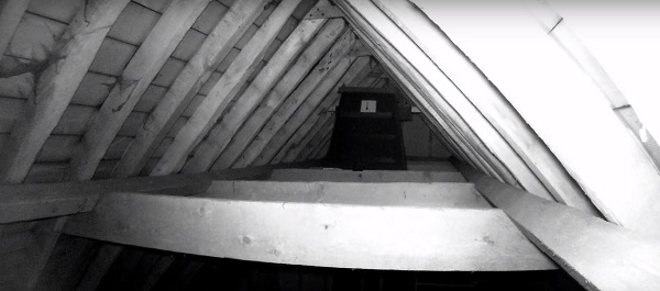 How To Keep Bats Out Of A Barn